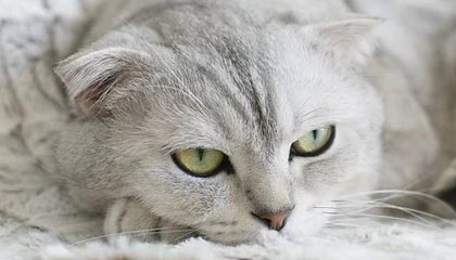 “最快女护士”张水华告别361°品牌，知情人士称因发展路径调整，系双方友好协商结果